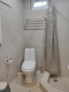 ein Bad mit einem weißen WC und einem Fenster in der Unterkunft Akaki's Guesthouse in Bordschomi