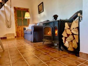 a living room with a wood burning stove in a room at Apartmány pod Kozákem in Velké Popovice