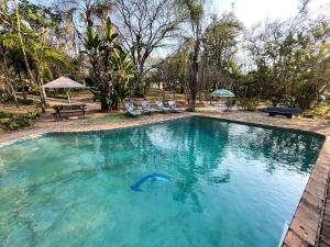 a swimming pool with a person in the water at Masasana’s Rest in Hazyview
