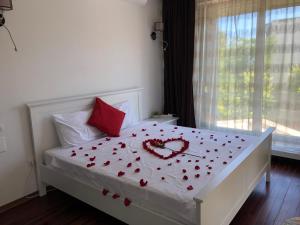 Billede fra billedgalleriet på Pensiunea Pont-Euxin i Constanţa