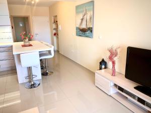 Televízia a/alebo spoločenská miestnosť v ubytovaní Apartment Lucie 4