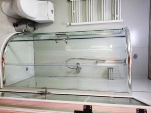 - szklane okno z prysznicem w pokoju w obiekcie Park Hotel Kutaisi w Kutaisi
