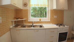Kuchyň nebo kuchyňský kout v ubytování Apartments Podlesek