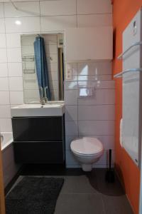 a bathroom with a toilet and a sink and a mirror at Le Chalet de Gaume in Virton +11 photos