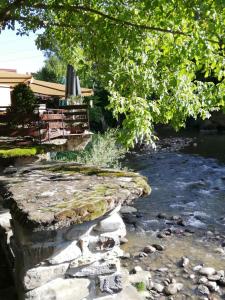 a stone walkway next to a river with trees at Семеен хотел Федора in Ribarica