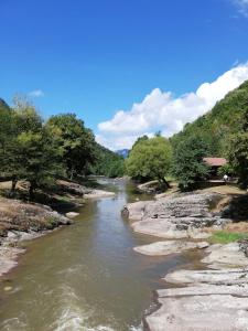 a river with rocks and trees on the side at Семеен хотел Федора in Ribarica