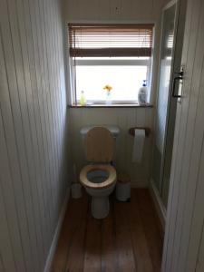 a small bathroom with a toilet with a window at Mo's Cottage in Kilmore