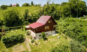 ein Haus mit rotem Dach auf einem Hügel in der Unterkunft Vita Natura with sauna and jacuzzi in Pihovec