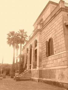 un edificio con due palme di fronte di CASA DELLE PALME GIARRE SICILIA A 3 KM DAL MARE a Giarre