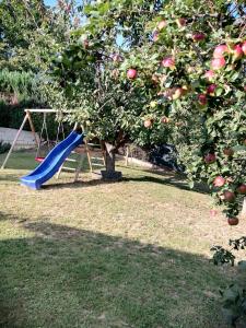 einen Spielplatz mit Apfelbaum und Rutsche in der Unterkunft Familie Barth in Kleinmürbisch