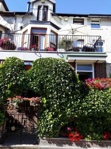 a large bush in front of a building with flowers at The Lonsdale in Blackpool