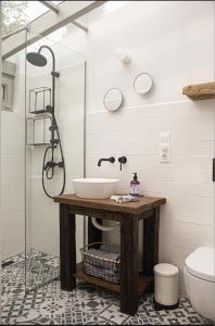 a bathroom with a sink and a shower and a toilet at Vinonima Vendégház in Hegymagas