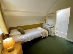 a small room with a bed and a sink at Bryn Noddfa in Morfa Nefyn