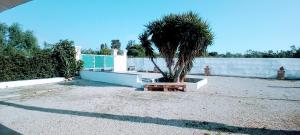 Kolam renang di atau di dekat Villa Zaira