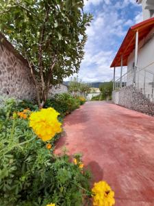 Zahrada ubytování Hotel Apostoli