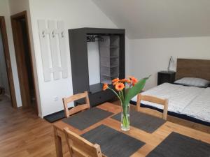 Galeriebild der Unterkunft Apartmány HABR in Nové Město pod Smrkem