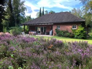 Zahrada ubytování Landhaus mitten in der Lüneburger Heide
