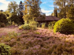 Zahrada ubytování Landhaus mitten in der Lüneburger Heide
