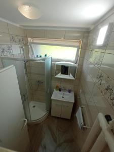 een badkamer met een douche en een wastafel bij Apartman "Plitvice and You" in Plitvička Jezera