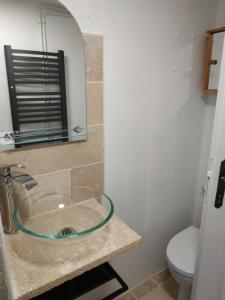 y baño con lavabo y aseo. en Appart 28m2 avec jardin et parking privés, chambre séparée, en Milhaud