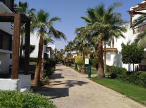 Zahrada ubytování Delta Sharm Holiday