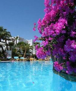 Bazén v ubytování Delta Sharm Holiday nebo v jeho okolí