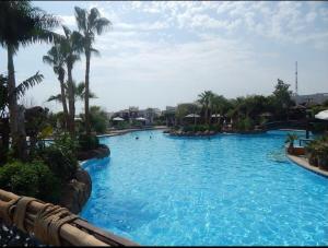 Bazén v ubytování Delta Sharm Holiday nebo v jeho okolí