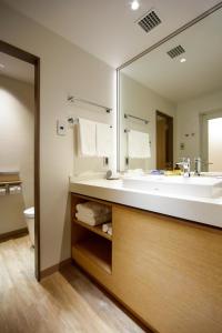 Holiday Inn Resort Shinano-Omachi Kuroyon by IHG的一间浴室