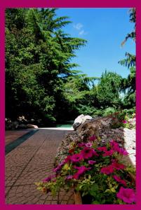 A garden outside Nuovo Mondo