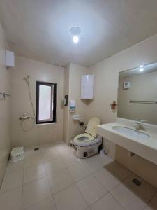 三義鄉的住宿－三義幸福小築民宿，一间带卫生间和水槽的浴室