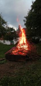 a large fire in a container in the grass at Keramický a výtvarný ateliér Konešín in Koněšín