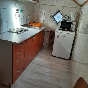 a small kitchen with a refrigerator and a microwave at Apartments Gale in Delnice