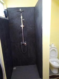 a bathroom with a shower with a toilet in it at Manuel's Apartment in Port Louis