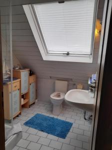 a bathroom with a toilet and a sink and a skylight at Haus Alexandra in Bad Driburg +12 photos