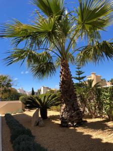 Ein Garten an der Unterkunft Lirios Boutique Luxury Seaview Villa