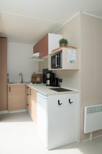 Köök või kööginurk majutusasutuses Tiny House