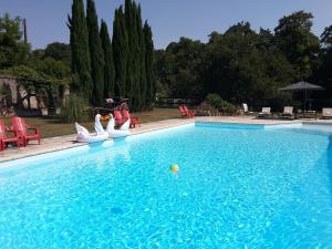 a swimming pool with swans and a ball in the water at Château de Ré in Le Petit-Pressigny