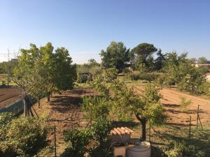 A garden outside Tuscan Dream Casa Vacanze