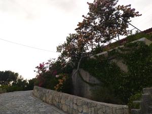 Fotografia z galérie ubytovania Villa Tsapoula v destinácii Mousata