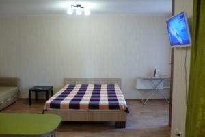 トムスクにあるApartment On Uchebnaya 7のリビングルーム(ベッド1台、薄型テレビ付)