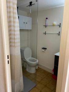 a bathroom with a toilet and a glass shower at Maison Eden en village Naturiste in Leucate