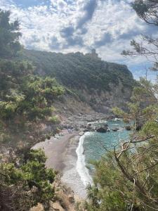 Príroda v okolí apartmánu
