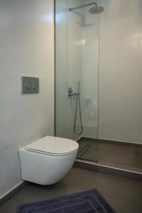 a white toilet in a bathroom with a shower at Perigiali Rooms & Apartments Folegandros in Agali