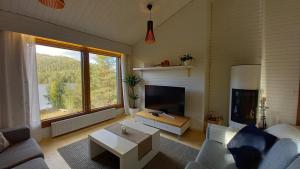 Gallery image of Scandi House Levi in Levi