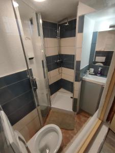 ein Bad mit einer Dusche, einem WC und einem Waschbecken in der Unterkunft La Provence Studio in Colmar