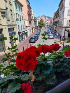 コルマールにあるLa Provence Suitesの窓に座る赤い花束