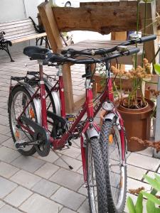 Cykling vid eller i närheten av Villa Hinterland