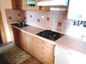Kuchyň nebo kuchyňský kout v ubytování Rogla - Apartma ROŽLE