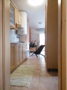 Kuchyň nebo kuchyňský kout v ubytování Rogla - Apartma ROŽLE