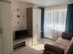 a living room with a couch and a television at Уютные апартаменты на Речном in Tver